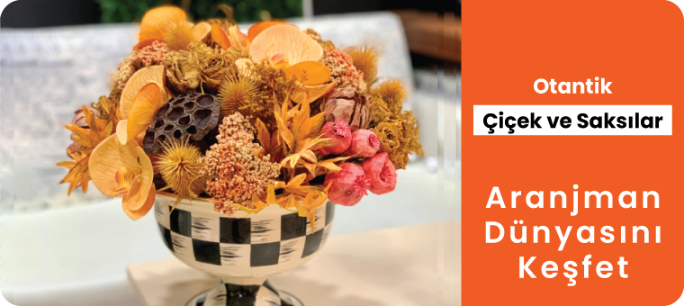 Çiçek / Ağaç / Saksılar