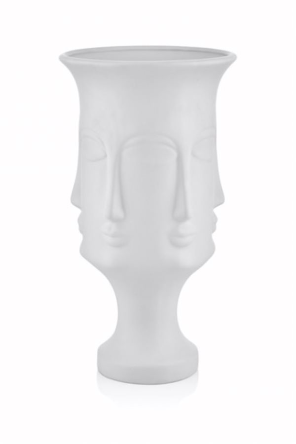 Face Vase Series
