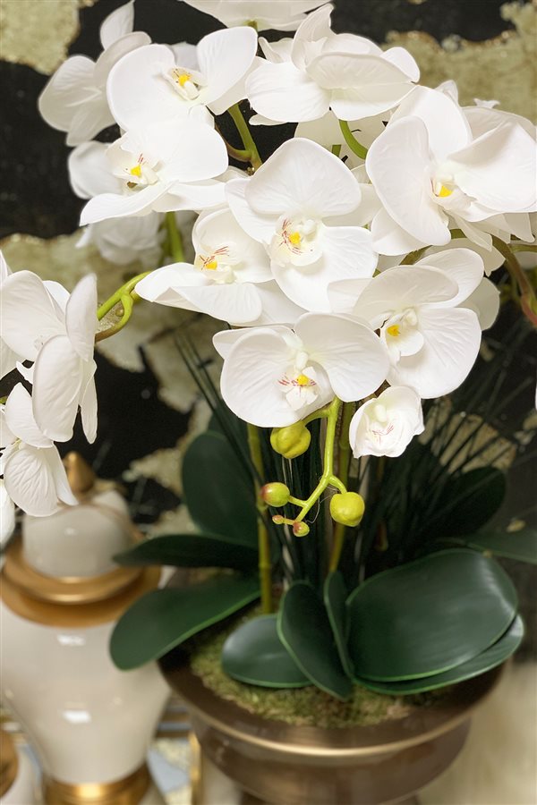 Artificial Wet Orchid Glass Flower Pot Arrangement - Bronze