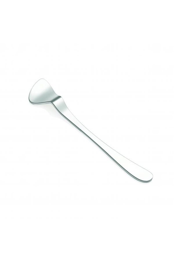 Steely 6-Piece Silver Tea Spoon