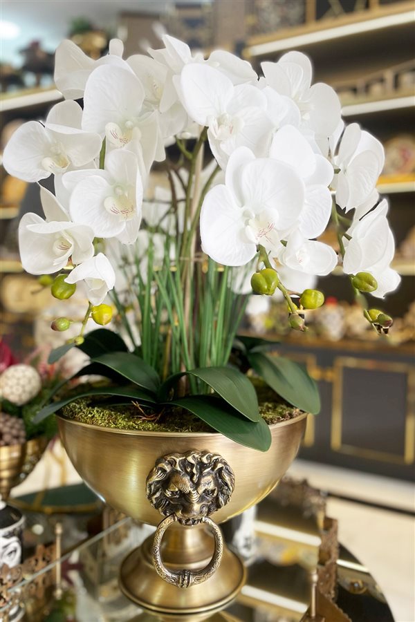 Artificial Wet Orchid Lion Pot Arrangement with Handle - Bronze