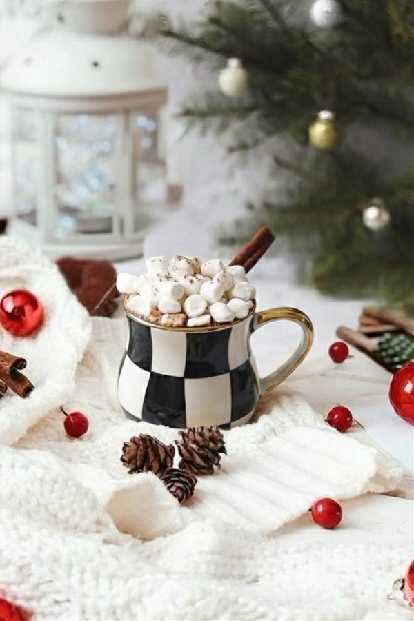 Damalı Siyah Tombul Kupa