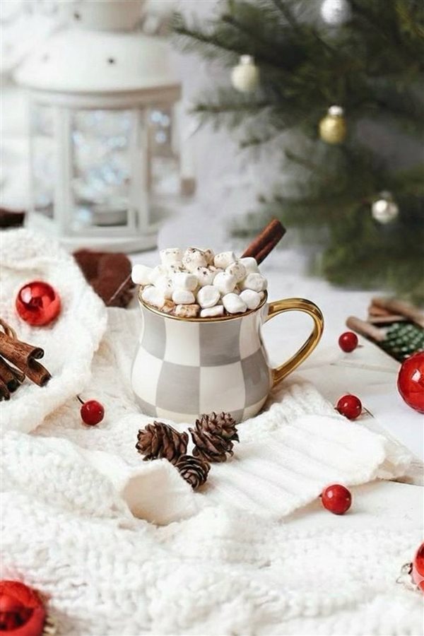 Damalı Gri Tombul Kupa