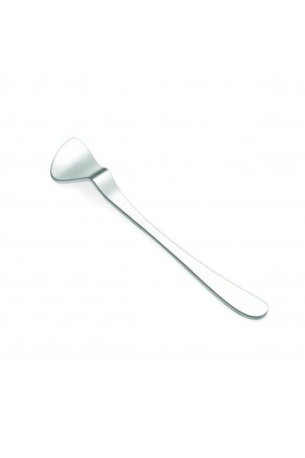 Steely 6-Piece Silver Tea Spoon