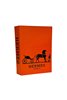 Dekoratif Kitap Kutu - Hermes Turuncu No 1